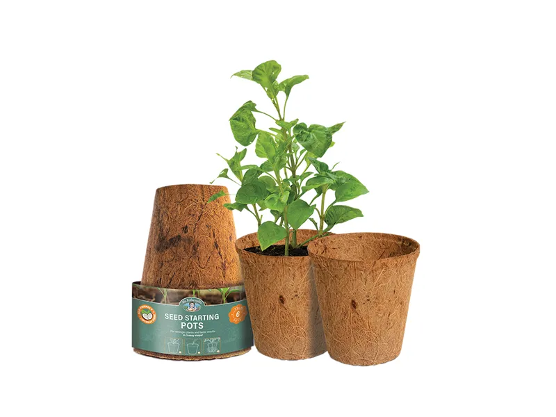 Introducing Sustainable Coconut Fibre: The Eco-Friendly Solution for Propagating Seeds and Cuttings