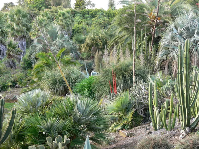 Paloma Gardens – Whanganui, New Zealand