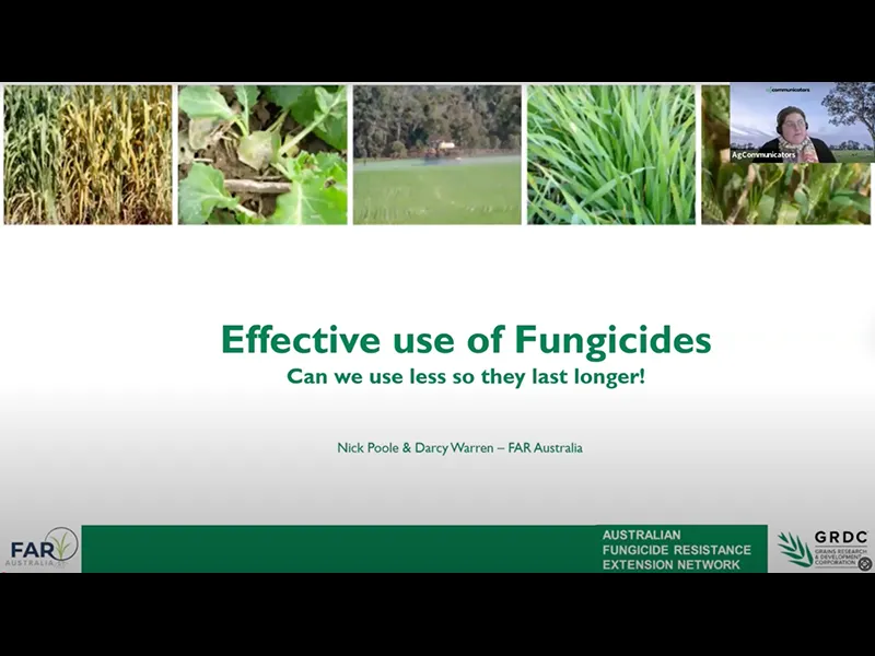 AFREN 2025 Fungicide Resistance Webinar – Effective fungicide use