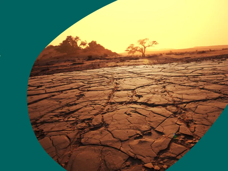 Future Drought Fund: Grant Opportunity $20M Innovation Challenges Pilot