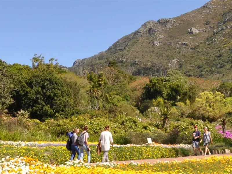 Kirstenbosch Peninsula Garden – Cape Town, South Africa