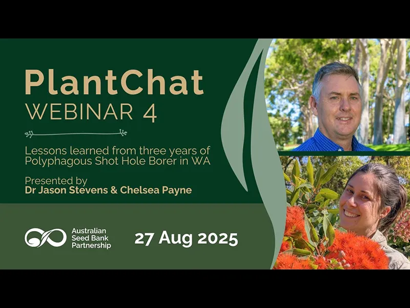 PlantChat Webinar 4: Lessons learned from three years of Polyphagous Shot Hole Borer in WA