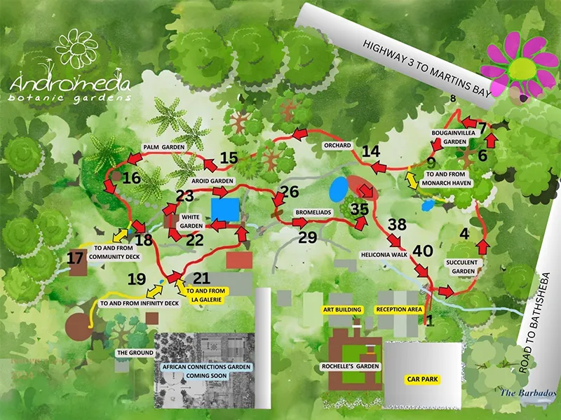 Andromeda Botanic Gardens – Bathsheba, Barbados