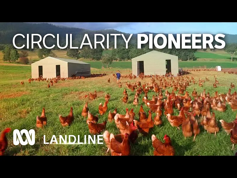 Bega’s bid to become a circular economy to reduce waste ♻️ 🐔 🐄 🥛🧀 🗑️