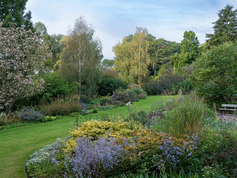 Discover Beth Chatto’s enthralling garden in Essex