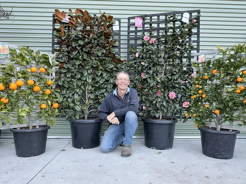 Watch it now! HMAA Webinar – Growing great espaliers