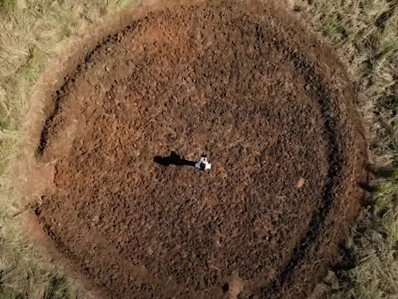 How we’re restoring ancient forest WITHOUT planting trees in Madagascar