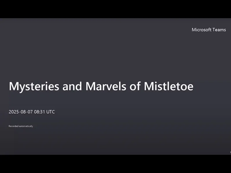 Mysteries and Marvels of Mistletoe.