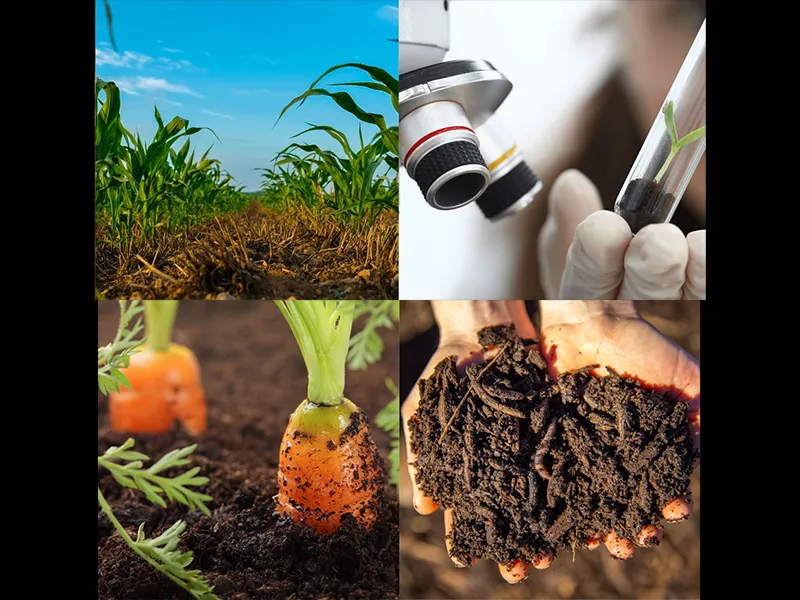 The Soil Food Web Free “A Living Legacy” webinars