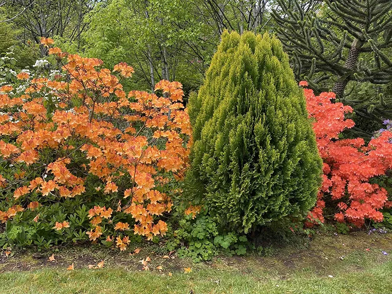 Postcard from Tasmania