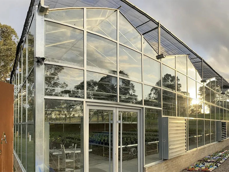 Calling all (Sydney) Co-Horts