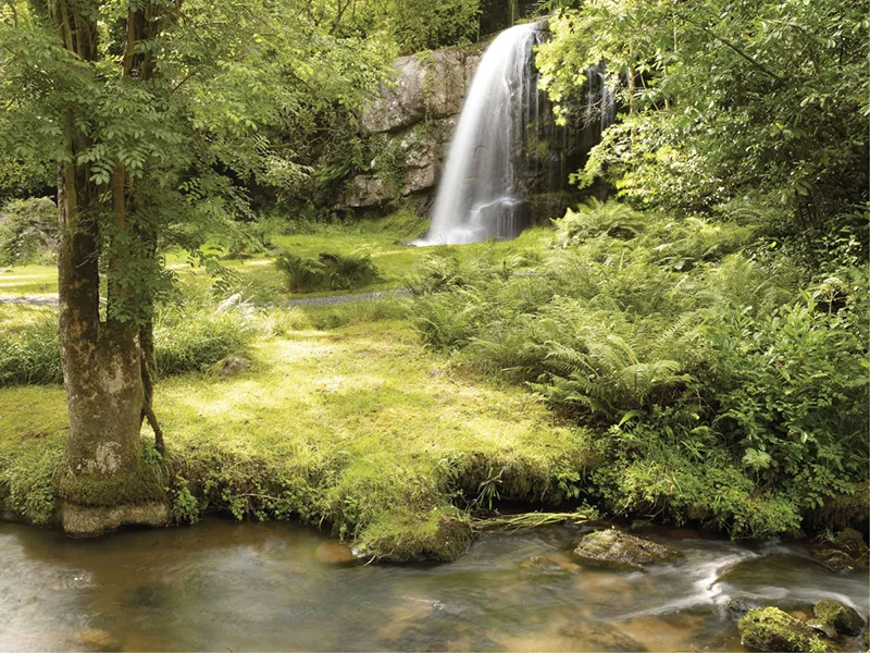 Kilfane Glen & Waterfall – County Kilkenny, Ireland