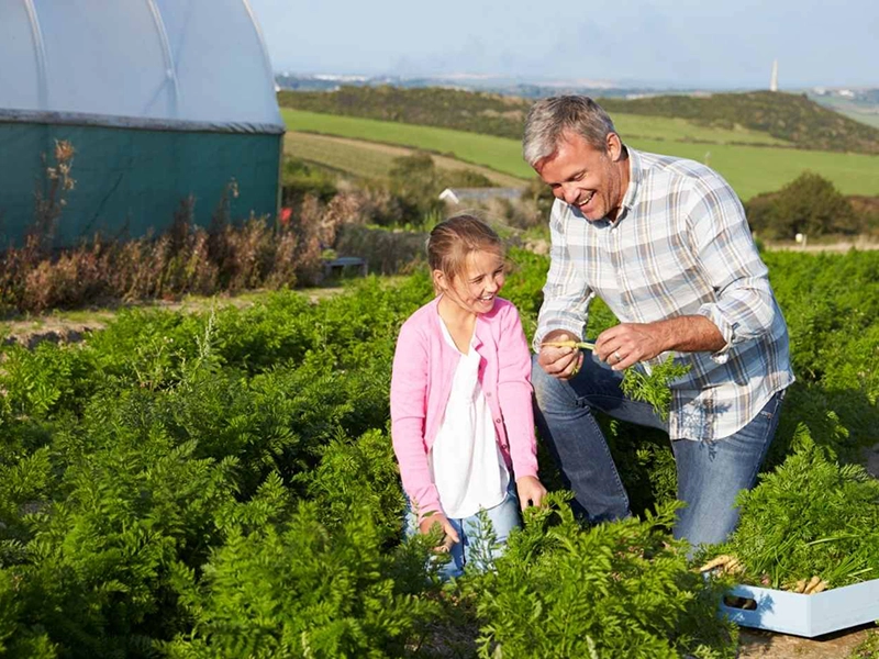 Plus One Serve by 2030 – driving vegetable consumption across generations