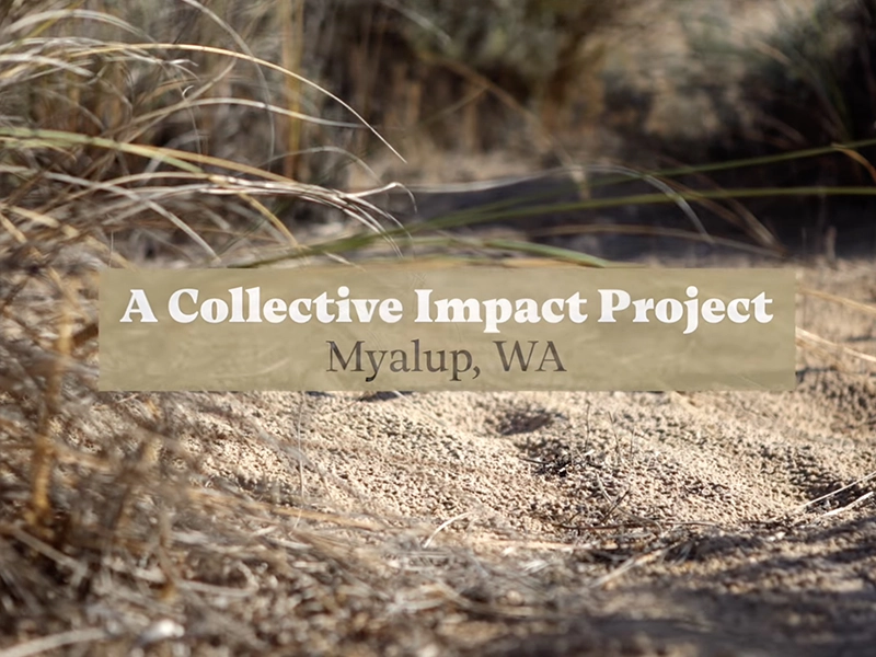 This Man Planted 500,000 🌱 SEEDLINGS 🌱