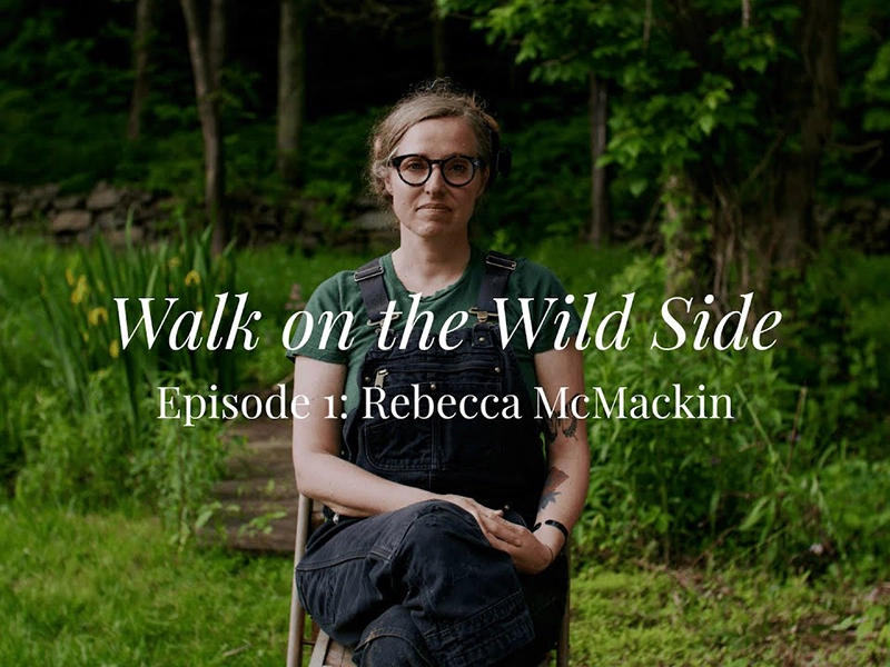 Inside America’s Healthiest Yards: Rebecca McMackin’s Secret Garden (Garden Tour)