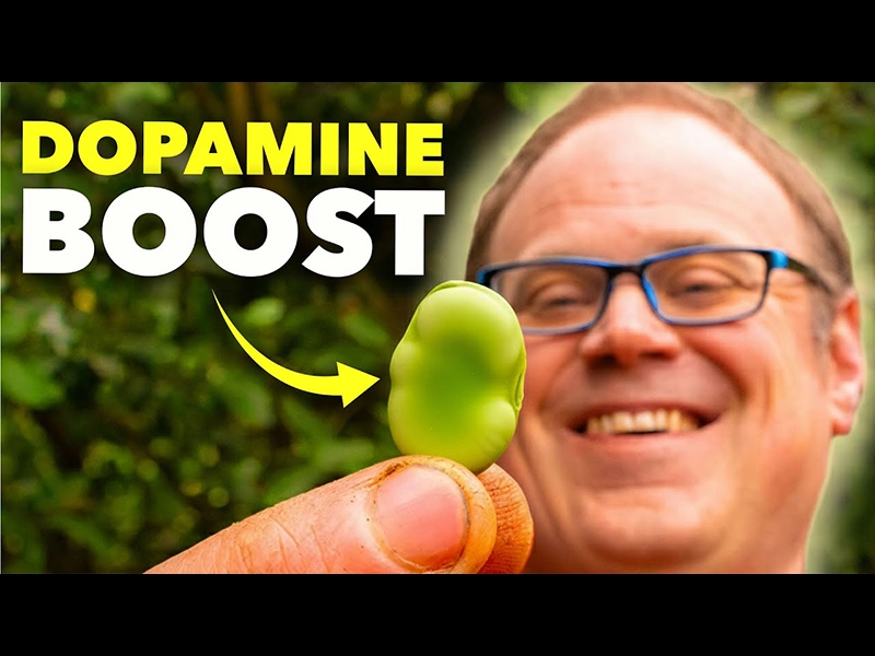 This Ancient Anti-Depressant Can be Grown in Every Garden