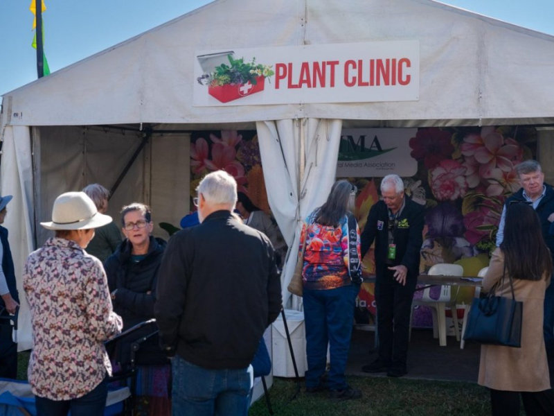 Invite To Members HMAA Plant Clinic At QLD Garden Show Nambour