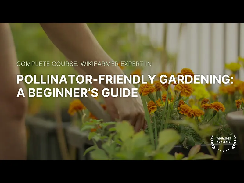 Short Course: Pollinator-Friendly Gardening: Wikifarmer Academy