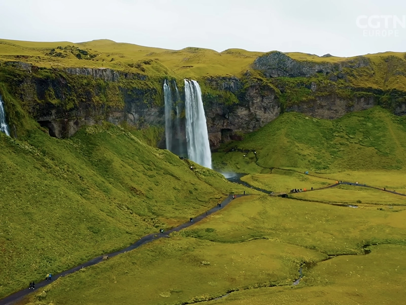 How do you grow trees in a treeless land?