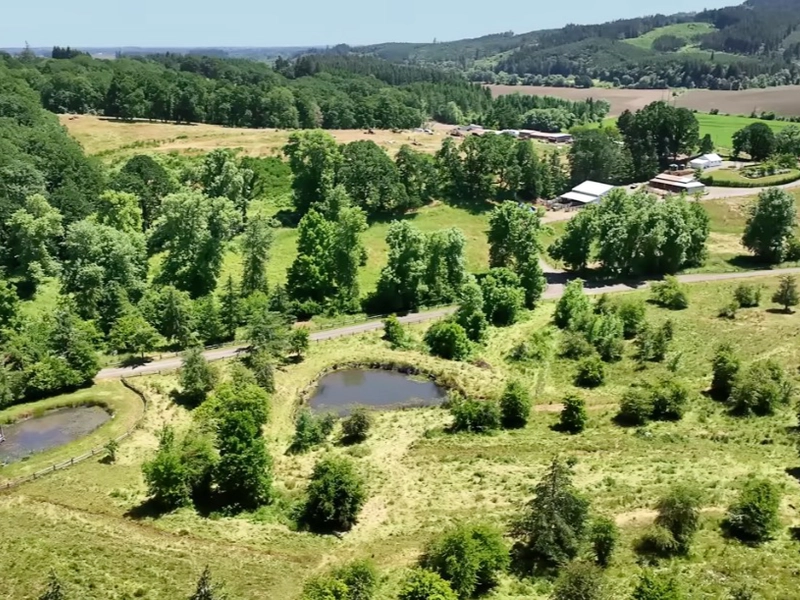7 Ways this Farm Harvests FREE Water