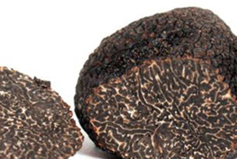A Snippet: On the Origin of Truffle Aroma – Small Things Considered
