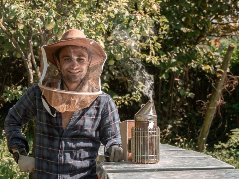 How a young digital marketer built a second life as a hobby beekeeper in Croatia | Wikifarmer