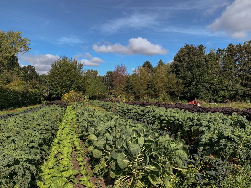 Regeneration is closer than you think: We Are The ReGeneration