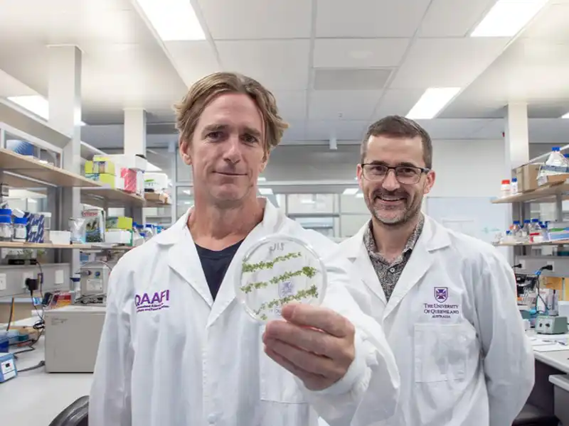 Moving biopesticides through plants opens new opportunities