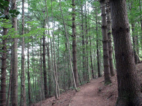 North Carolina Arboretum in Asheville