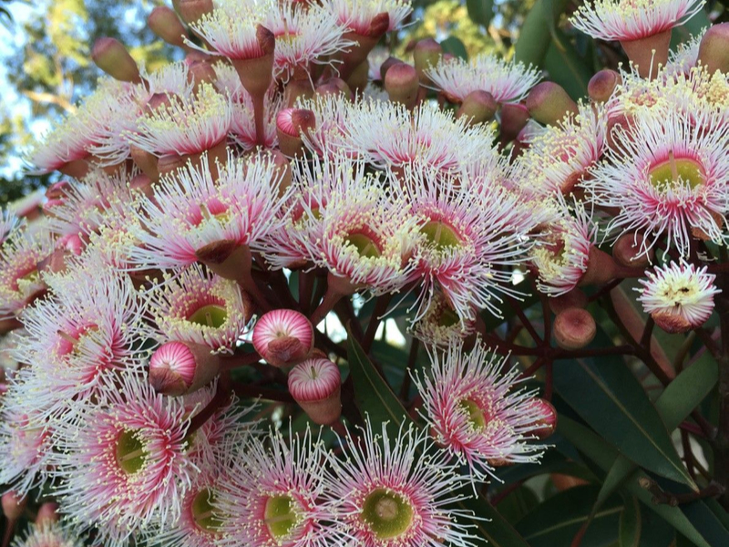 Meet and greet at MIFGS