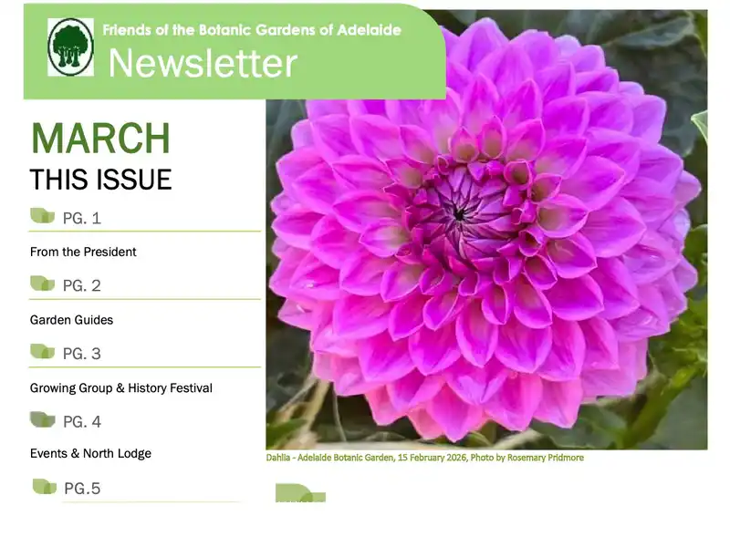 What’s New –  Friends of the Botanic Gardens of Adelaide (FBGSA)