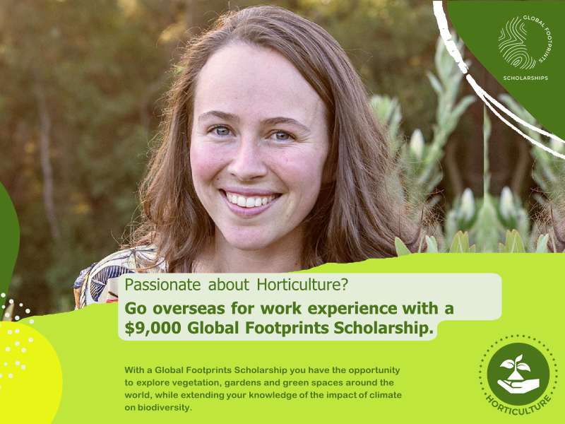 Global Footprints Scholarships Opening Soon