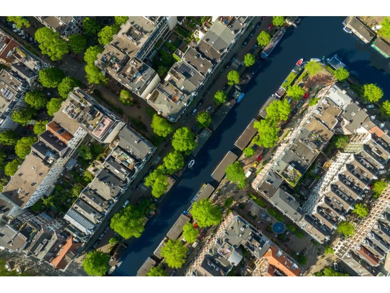 More trees where they matter, please | MIT News | Massachusetts Institute of Technology