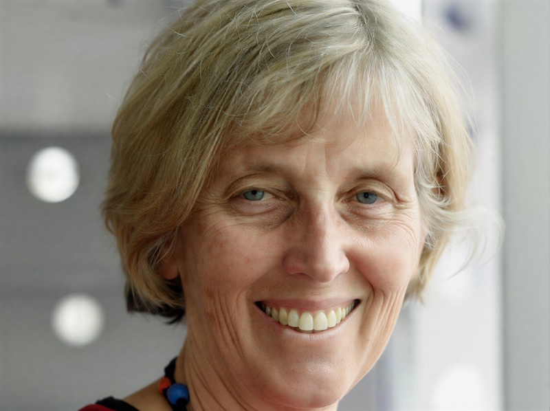 Research shows lift in collagen levels from eating kiwifruit