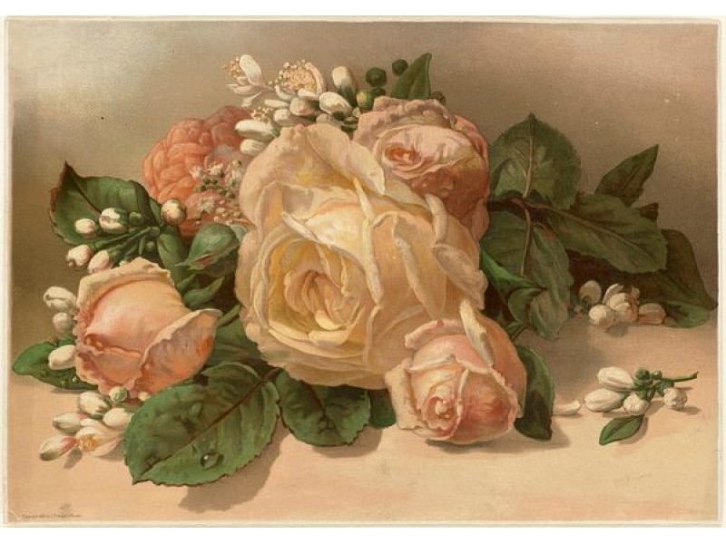 How Flower-Obsessed Victorians Encoded Messages in Bouquets - Atlas Obscura