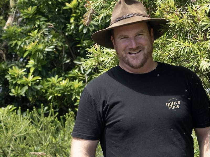 Free webinar: Native Bees