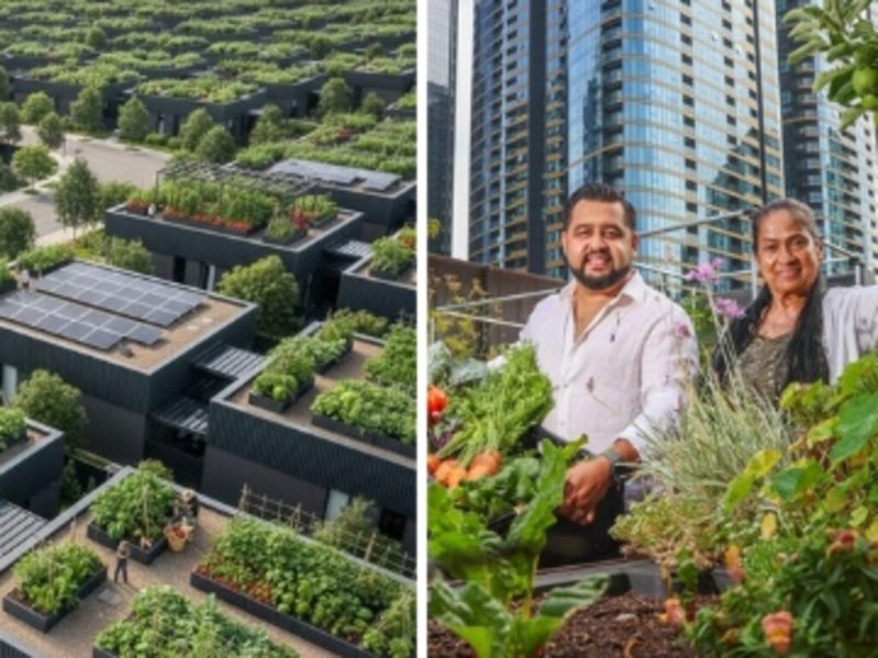 Future Victoria: Rooftop ‘sponge cities’ to fight floods, slash bills - realestate.com.au