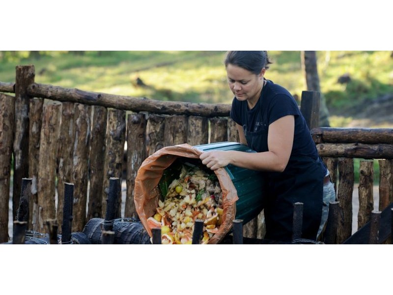 5 top tips for the perfect compost – according to science