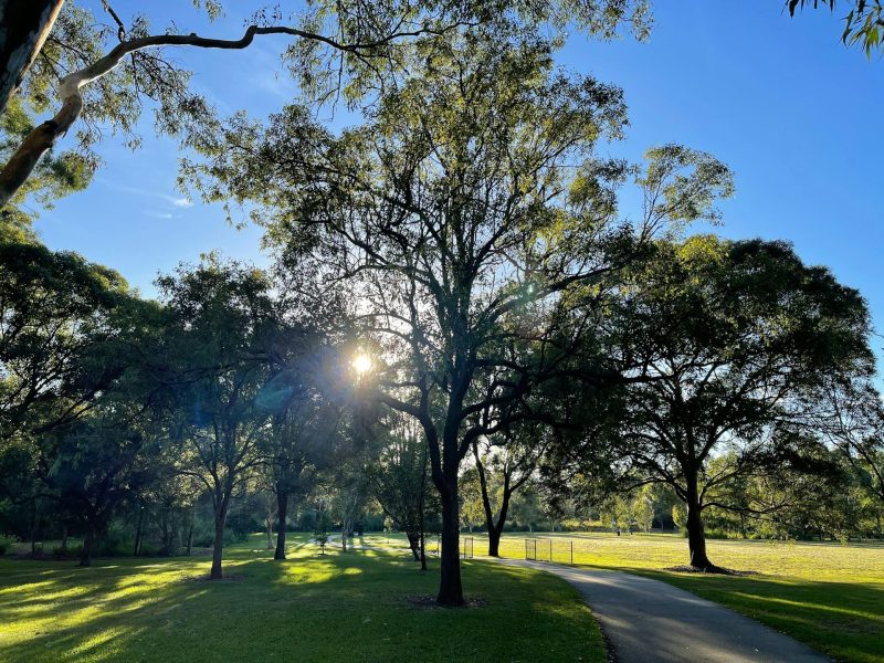 A growing, deadly infection has Australian researchers on high alert | YourLifeChoices