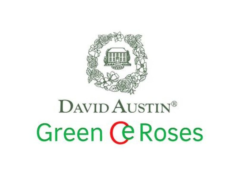 Meet & Greet with David Austin Roses – Presented by Stefanie Williams