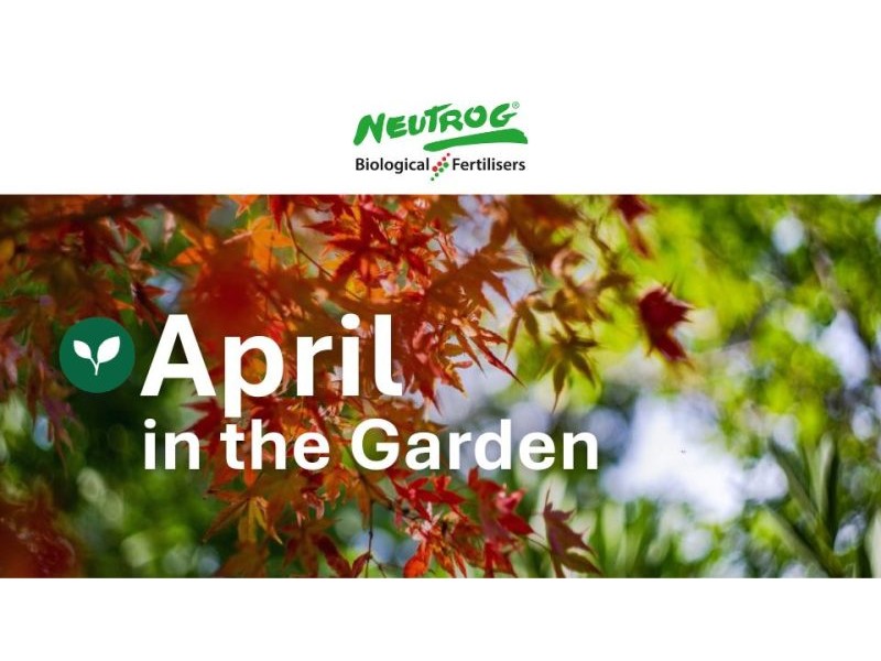 April News from our Laurel awards sponsors