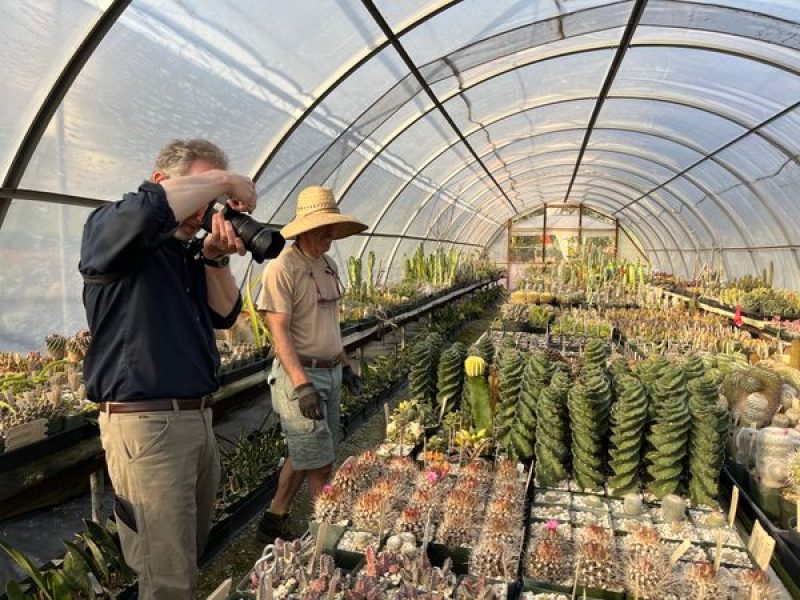 The Secret Gardens Saving the World’s Rarest Plants - Atlas Obscura