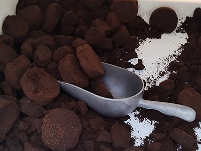 Growing Your Own – gardening advice and tips  / RHS