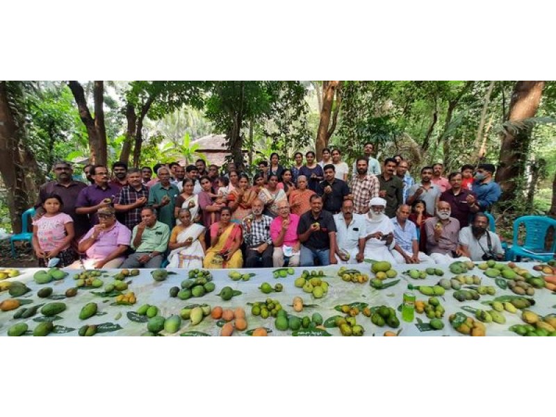 One Indian Village, More Than 100 Varieties of Mangoes - Gastro Obscura