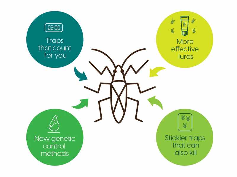 Leading a coordinated fight against fruit spotting bugs