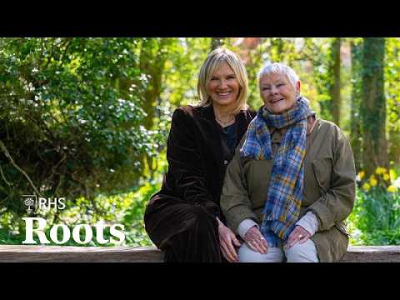 Worms, First Memories, Trees and Fizz with Dame Judi Dench