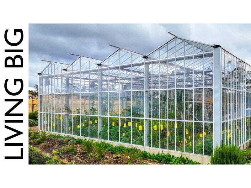 He Built a Tiny House Inside a Massive Greenhouse – YouTube