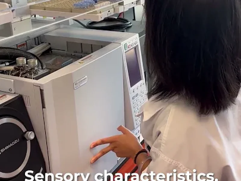 Sniffing out Chinese herbs – YouTube