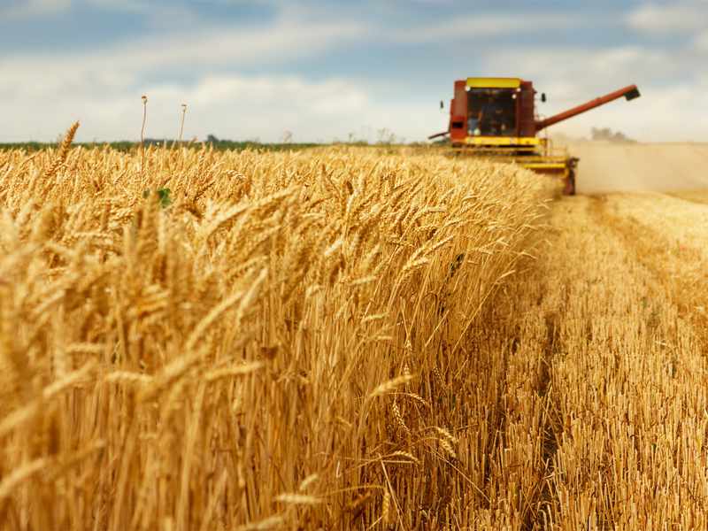 Australian growers find a smarter nitrogen solution as fertiliser disruption bites