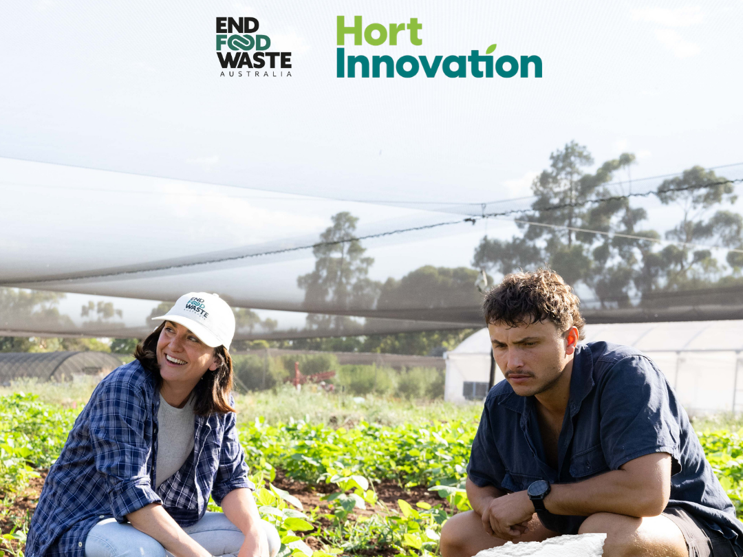 New national trials launched to help growers tap into $2.5bn opportunity in unsold produce